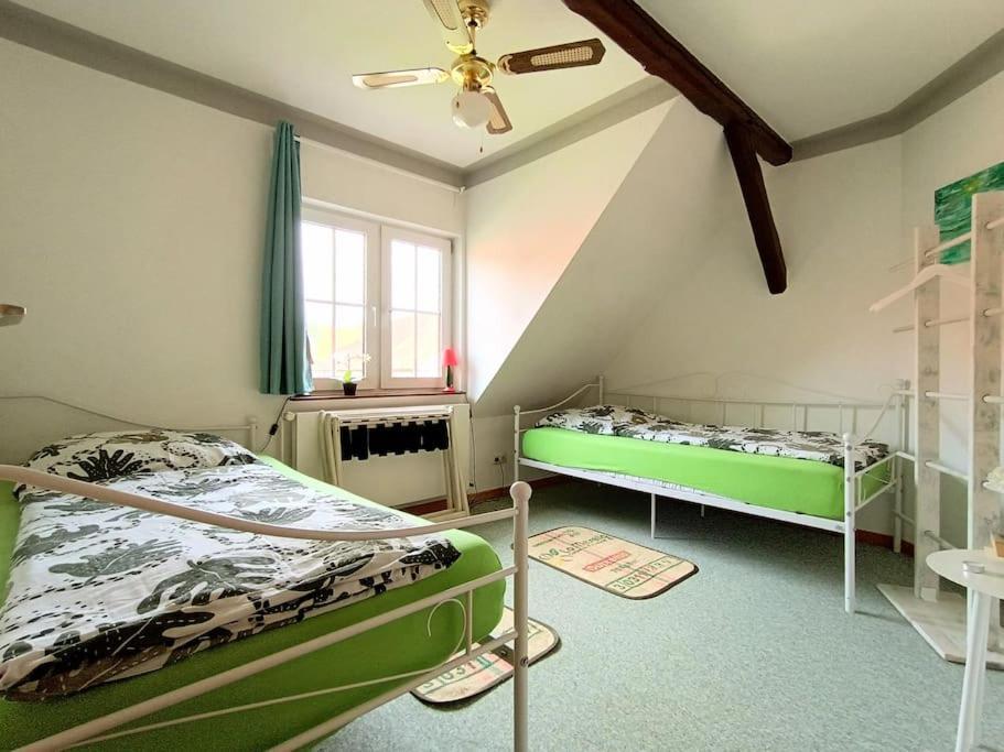 Ruhiges Exzellenz-Appartement Diana Im Elb-Urstromtal - Fast Wlan, Good For Long-Terms Bleckede Exterior photo