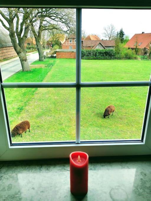 Ruhiges Exzellenz-Appartement Diana Im Elb-Urstromtal - Fast Wlan, Good For Long-Terms Bleckede Exterior photo
